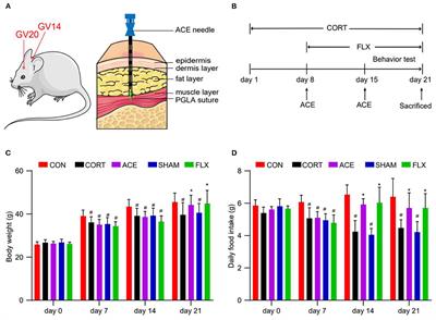 Metabolomics Analysis on Mice With Depression Ameliorated by Acupoint Catgut Embedding
